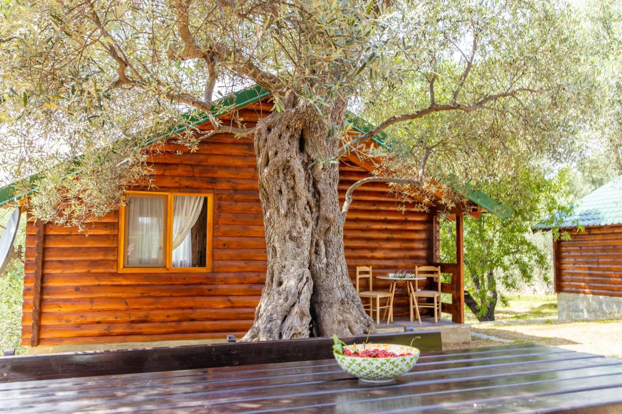 Katana Village Apartment Улцинь Экстерьер фото